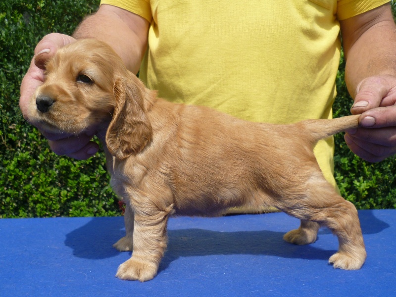 4. Gapy pod Ořechem-růžová.JPG